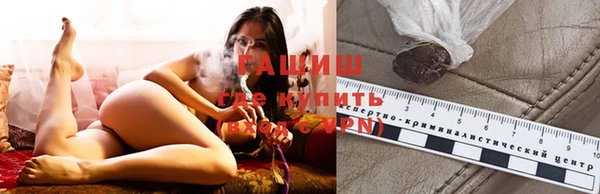 индика Заволжск