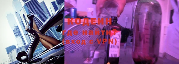 индика Заволжск