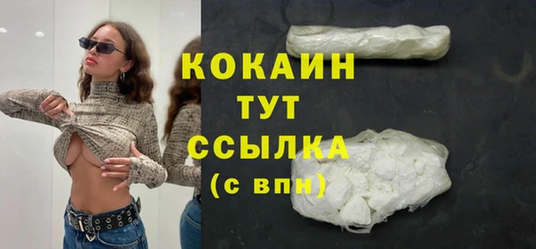 индика Заволжск
