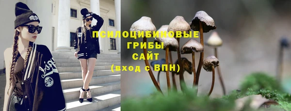 индика Заволжск