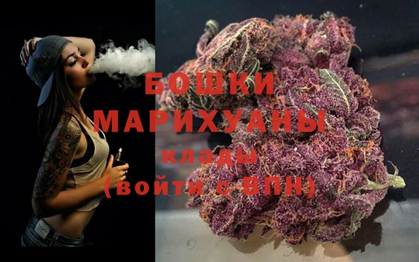 индика Заволжск