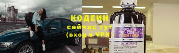 индика Заволжск