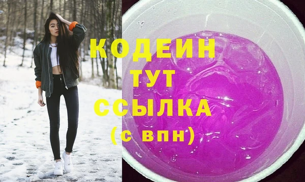 индика Заволжск
