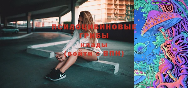 СК Снежногорск