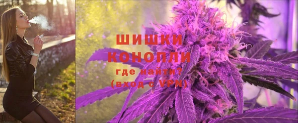 индика Заволжск