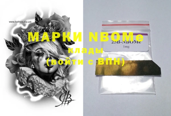 индика Заволжск